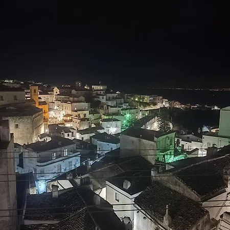 Domus Mito *