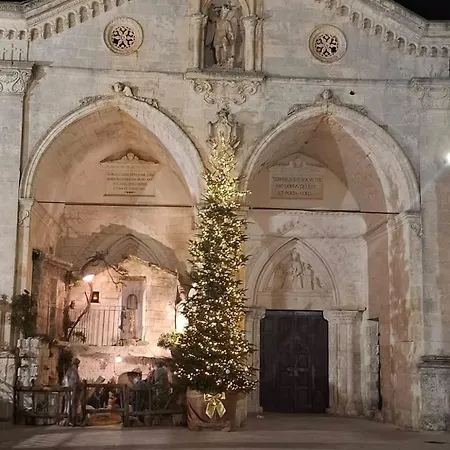 Domus Mito *