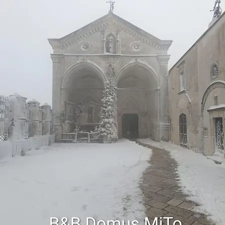 Domus Mito